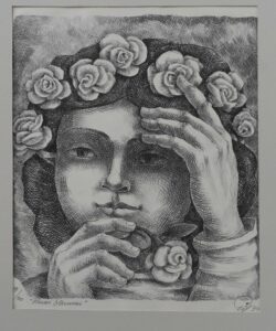 Rosas-blancas