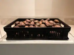 cosecha-obra-mda