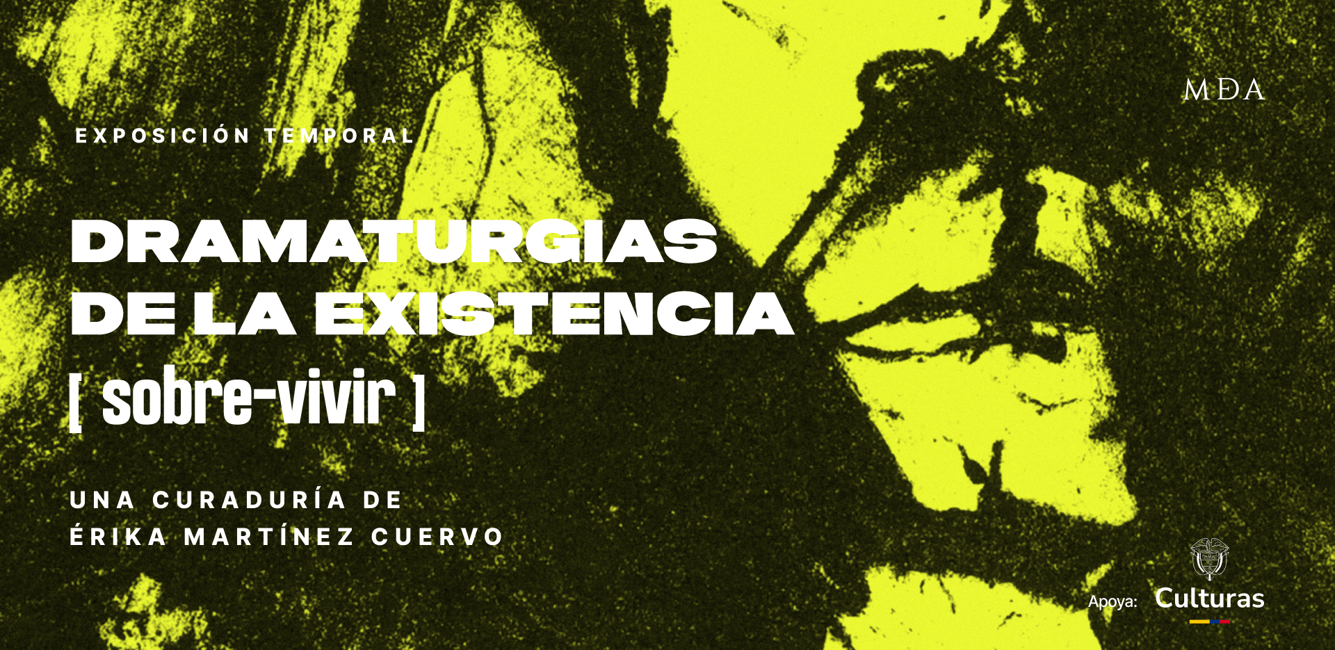 Banner Dramaturgias de la existencia [sobre-vivir]